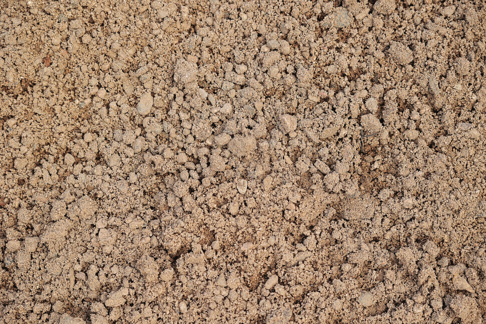 Compacted sandy soil, commonly used in landscaping and construction projects