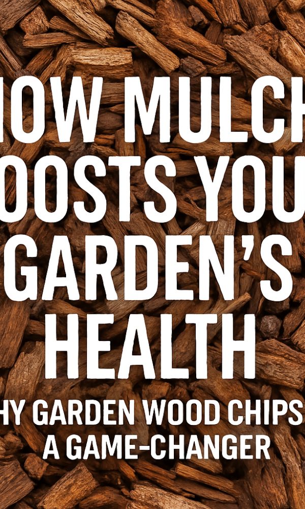 How Mulch Boosts Your Garden’s Health