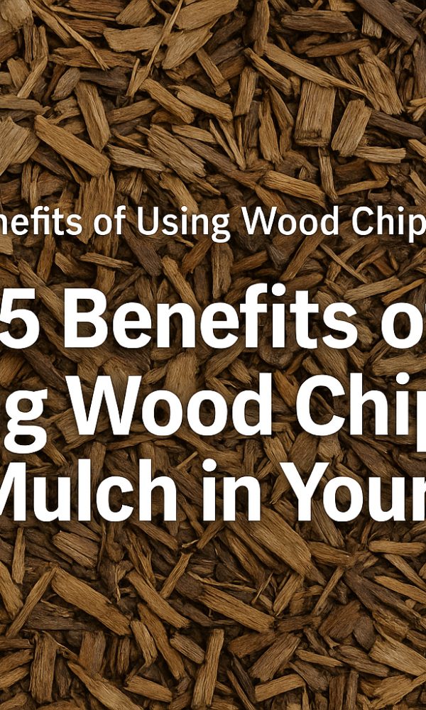 Top 5 Benefits of Using Wood Chips for Mulch in Your Garden
