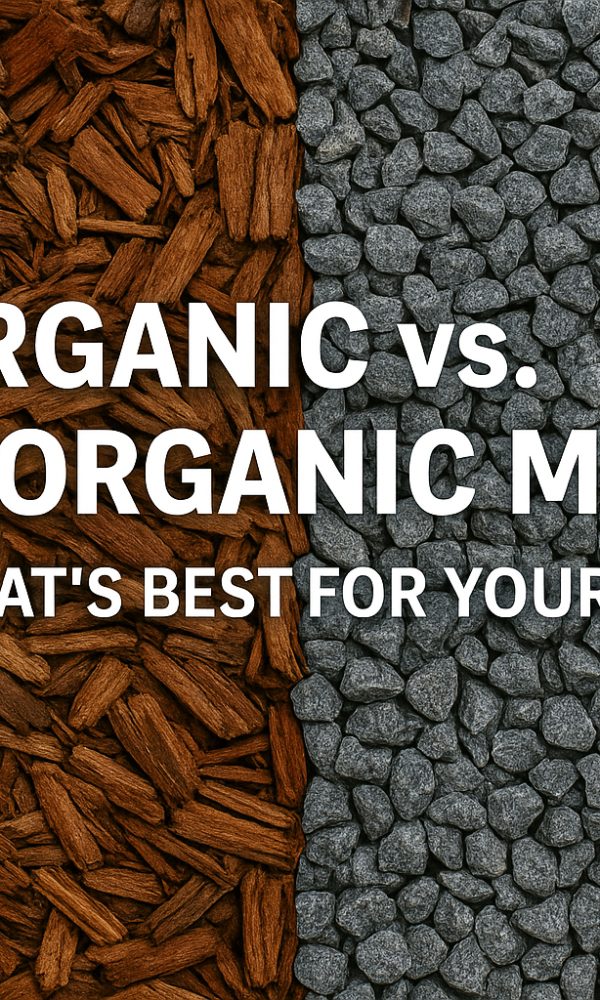 Organic vs. Inorganic Mulch: Which is Better for Your Garden?